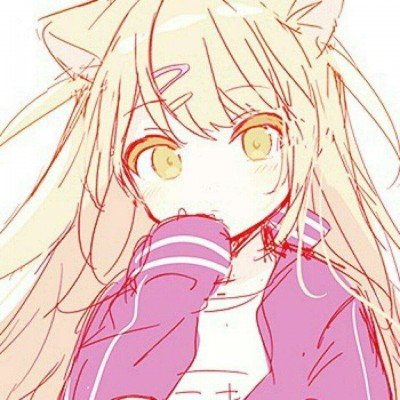 白玉兰新闻发布会